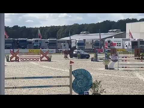 Lamay van de Wolfsakker 130 CSI1* Opglabbeek