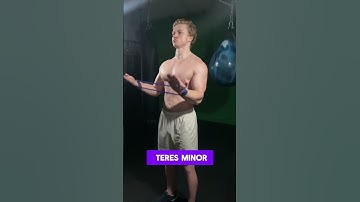 Supinated External Rotations