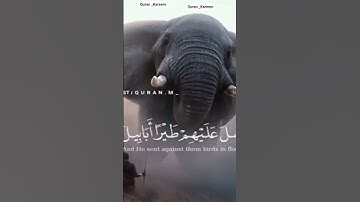 سوه الفيل بصوت عذب القرآن الكريم