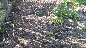 Modelcrafters | Series 1| Episode 2: Streckenverlauf und Bau