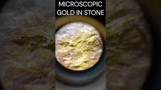 MICROSCOPIC GOLD IN ROCKS | GOLD ORE #shorts