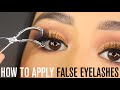 HOW TO APPLY FALSE EYELASHES  |  BEGINNER'S GUIDE