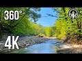 Sounds of nature. 360-degree video. Gentle sound of river and singing of birds.