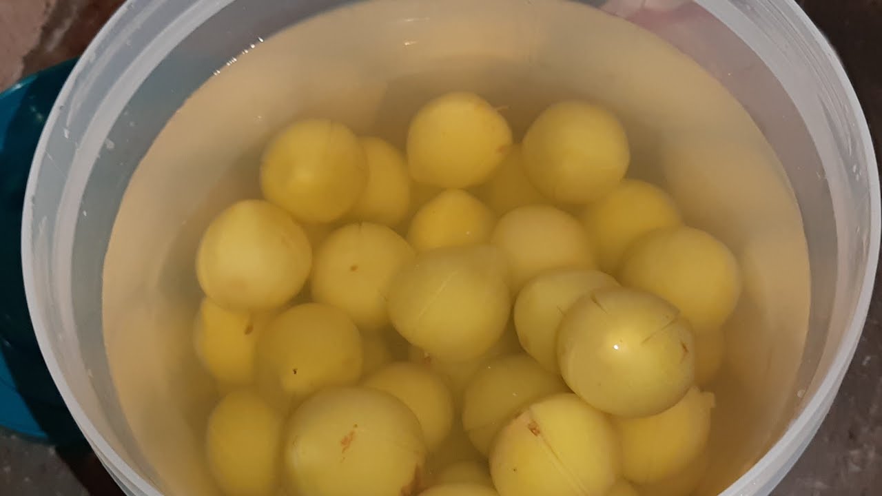 برقوق محمض بطريقة احترافية من يد محترف سهلة و سريعة و نااااجحة 💯