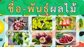 ความรู้รอบตัว เกมทายชื่อ-สายพันธุ์ผลไม้ EP.14