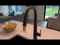 Builder Review of Moen Nio One Handle Kitchen Faucet