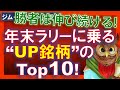 【米国株】ここまで勝者だった株は年末へのラリーで更に上昇する！？代表的な「UP銘柄」トップ１０！めったにない！【ジムクレイマー・Mad Money】