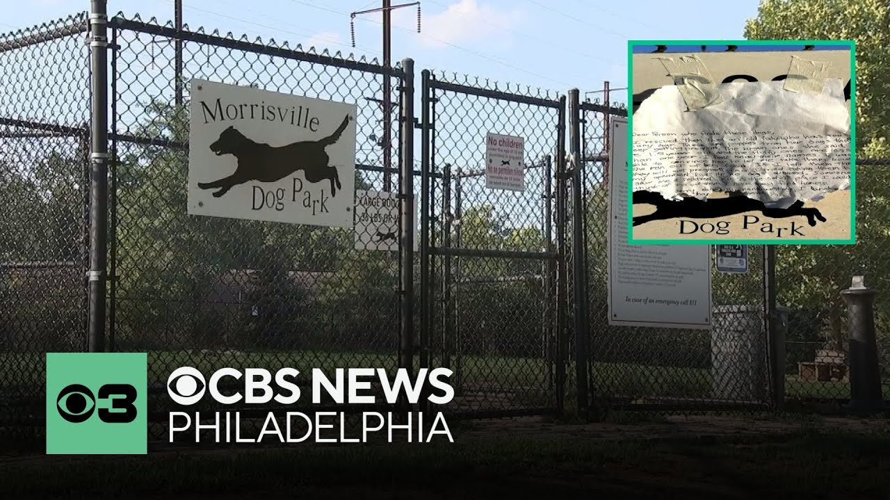 Six dogs abandoned at Bucks County dog park in Morrisville - YouTube