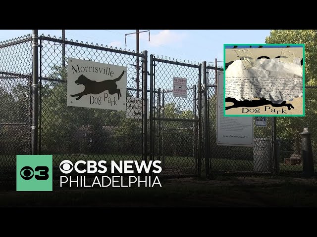Six dogs abandoned at Bucks County dog park in Morrisville - YouTube