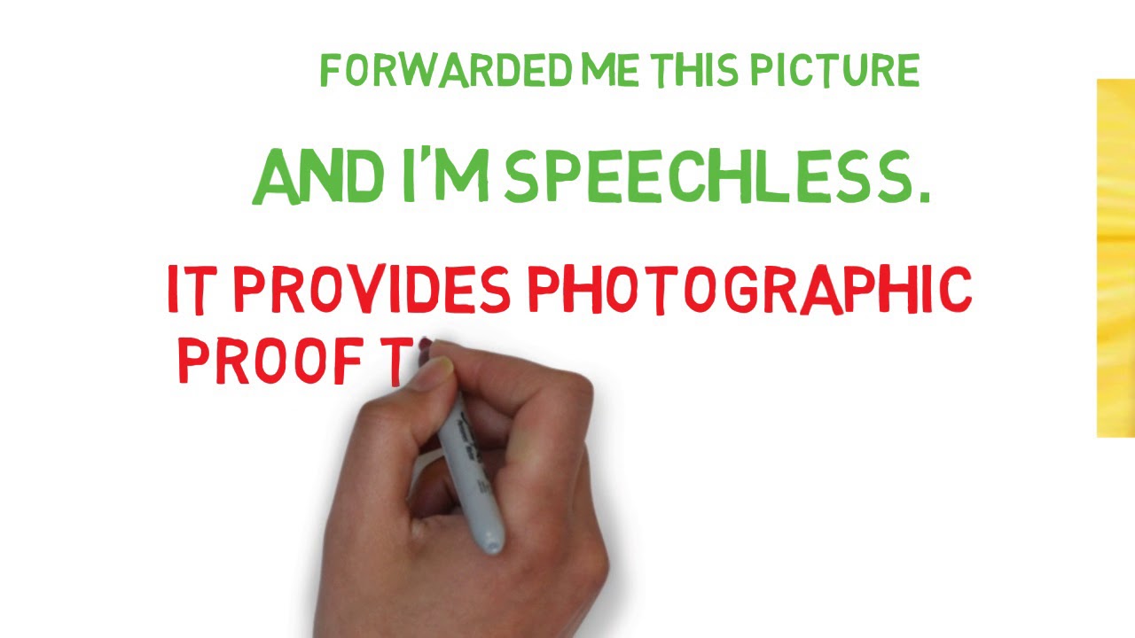 THE FAITH DIET SYSTEM GET RID OF BELLY FAT