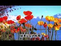 如果爱记得 我们曾承诺过 刘宇宁 如果爱记得 如果爱记得 我们曾承诺过 刘宇宁 如果爱记得