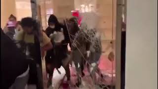 Rioters stealing bags at Louis Vuitton Store in Portland America