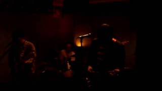 The Satellites - Flowerbird