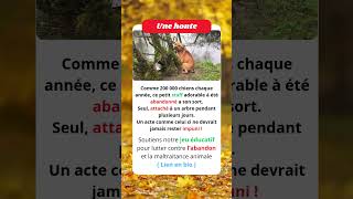 Ce petit staff a été abandonné , soutiens notre jeu éducatif pour lutter contre l’abandon #animaux