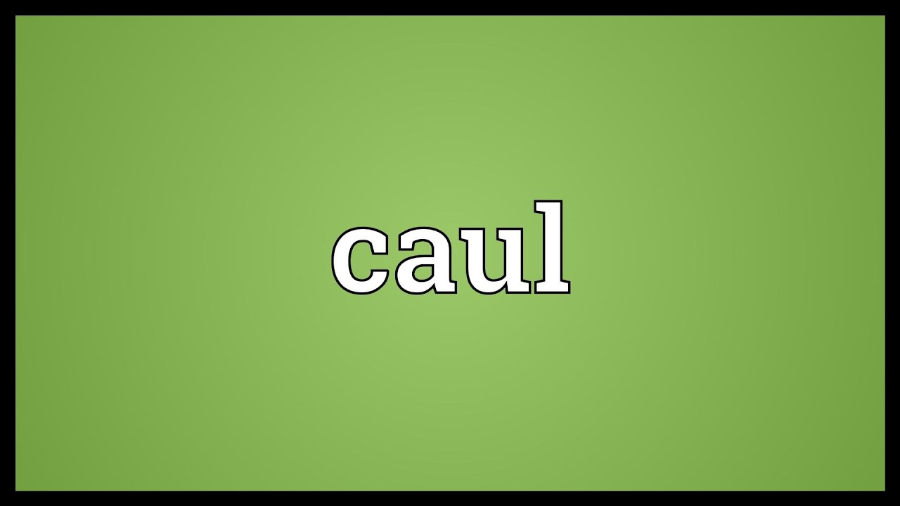 Caul Meaning YouTube