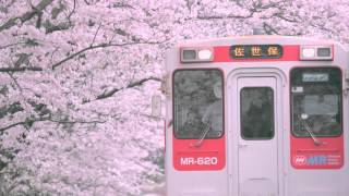 浦ノ崎駅 桜のトンネル Hi Res 4k Saga Uranosaki Station Sakura Tunnel Youtube