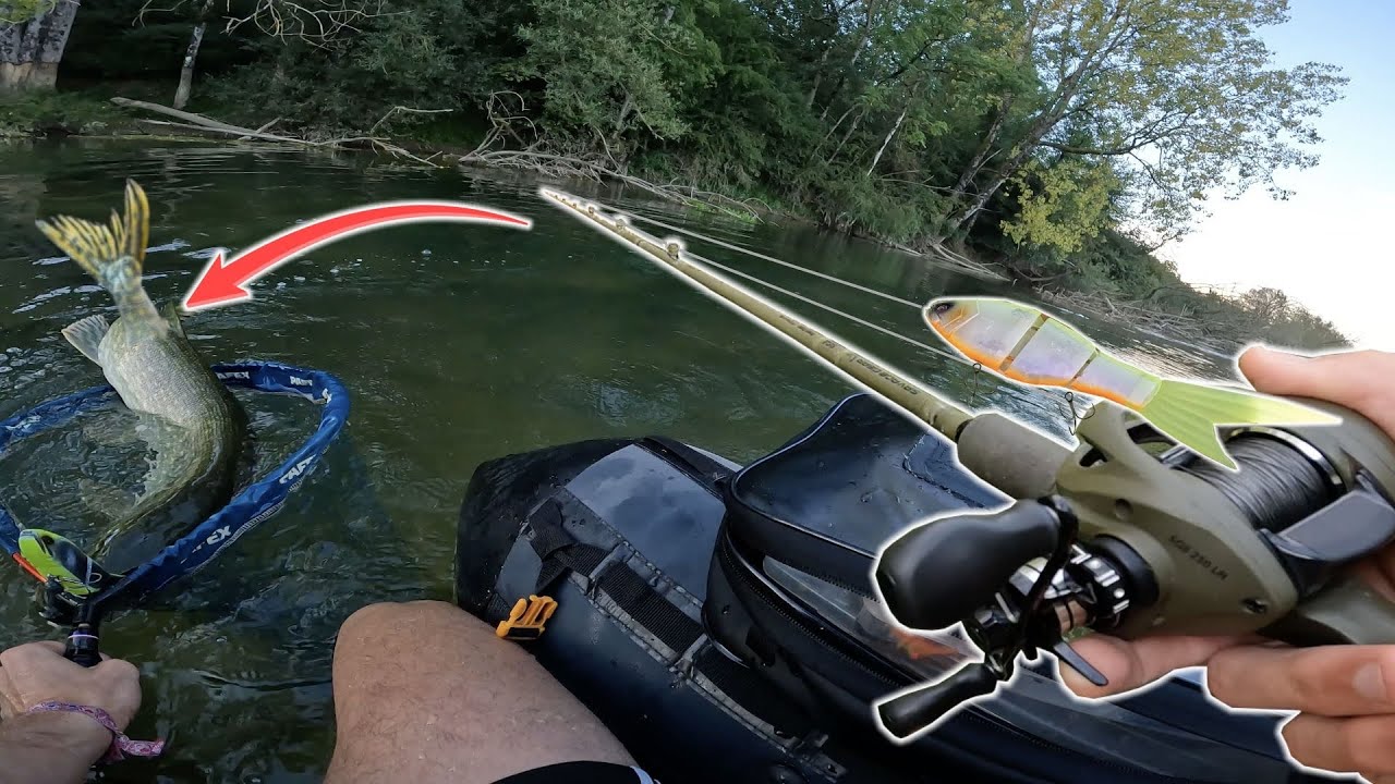 Cette session brochet est un rêve ? (pêche au leurre)