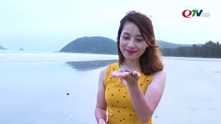 BÃI BIỂN TRƯỜNG CHINH ĐẢO NGỌC VỪNG| ĐỊA ĐIỂM THAM QUAN NGỌC VỪNG