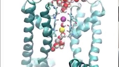 Ion Concentration- and Voltage-Dependent Push and Pull Mechanisms of Potassium Channel Ion