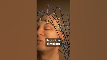 Busting the 10% Brain Myth: A Neuroscientific Journey #brainhealth #mythbusting