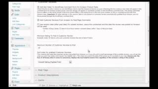 Wordpress Amazon Plugin Demo - Build Amazon Affiliate Stores Fast and Easy