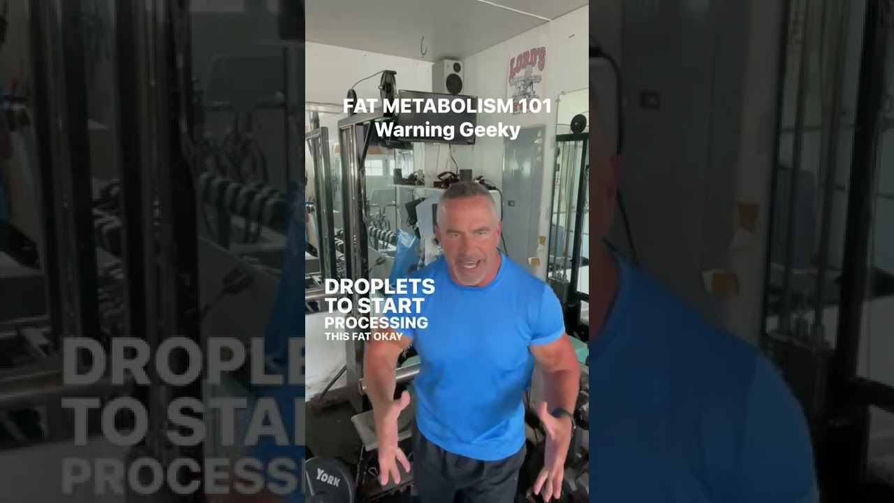 FAT METABOLISM 101 Warning very geeky!!!