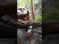 "🔥 This Blacksmith Made the Impossible with Iron – You Won’t Believe Your Eyes!"