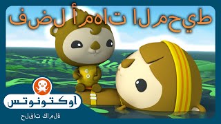 أوكتونوتس | 🐬 أفضل أمهات المحيط 🌸 | حلقات مجمعة