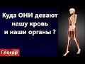 Куда ОНИ девают наши органы и нашу кровь ? Сатане нужны ВАЖНЫЕ политики ! Секрет синего цвета ! \США