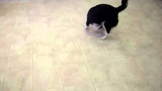 SDC10150.AVI