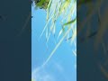 разбил дрон dji mini 3 pro