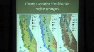 Landscape Genomics of Adaptive Variation in a California Keystone Tree Species, Quercus lobata screenshot 3