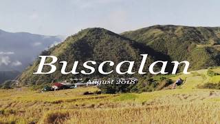 Buscalan Video Diary 8 18