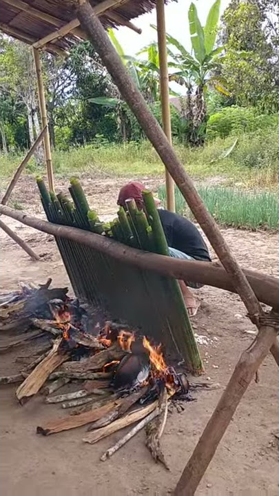 #Padungku 'TradisiMasyarakatPoso Bakar nasi bambu atau (inuyu) dalam rangka padungku desa Soe!!!