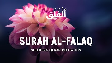 Surah Al Falaq - سورة الفلق | Seeking Refuge from Darkness | #QuranicWisdom