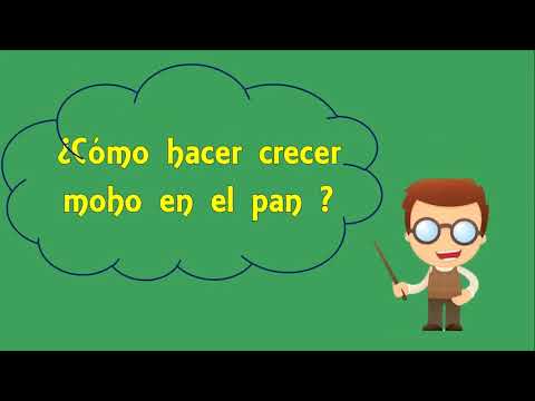 Video: Cómo Hacer Crecer El Moho Rápidamente