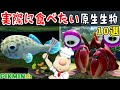 【ピクミン4】実際に食べてみたい原生生物10選【ルーイメモ】