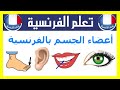 اسماء اعضاء الجسم بالفرنسية - بالصوت و الصور