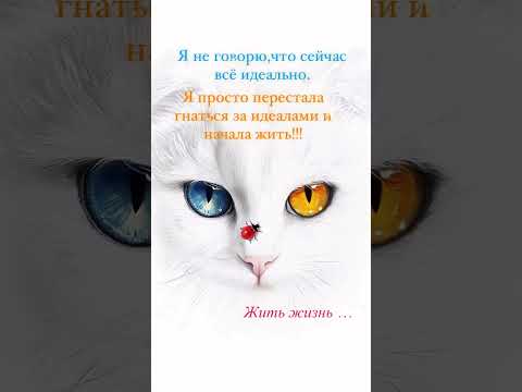 💫💫💫🥰🥰🥰 #shortvideo #любовь #открытки #цитатыпрожизнь #афоризмыцитаты #житьжизнь