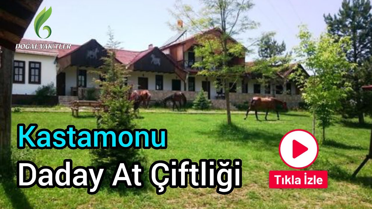 Daday Çömlekçiler At Çiftliği Daday | Horse Farm, Daday | Bungalov evleri ...