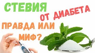 Стевия при диабете - правда или миф? Приготовление и применение