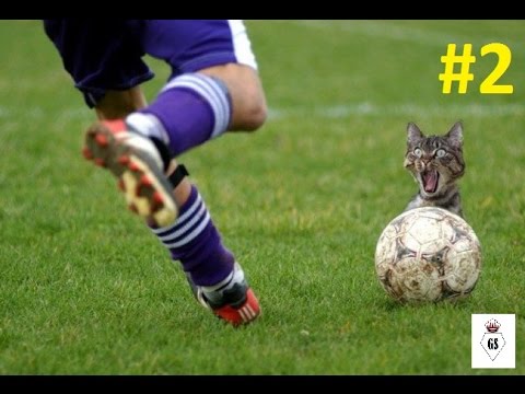 funny-football-#2-/penalty-kick