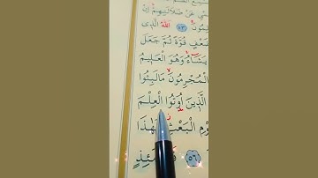 سورة الروم الأية 55 إلى 57 القارئ سعد الغامدي