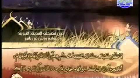 سورة النمل كاملة الشيخ العيون الكوشي An Naml