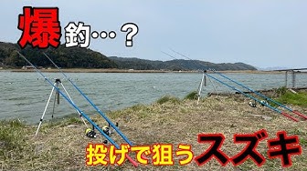 入れ食い Youtube