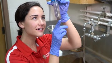 Soybean Cyst Nematode Testing for Resistant Populations