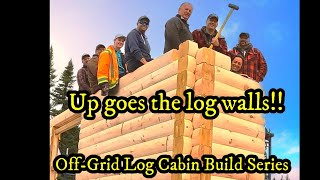 Building my Log Cabin Kit from Adventure Log Homes   Assembling the logs was actually fun!!