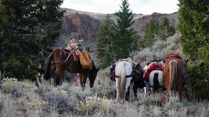 SOLO HNTR Podcast 010 Hunting the Public Land Ranc...