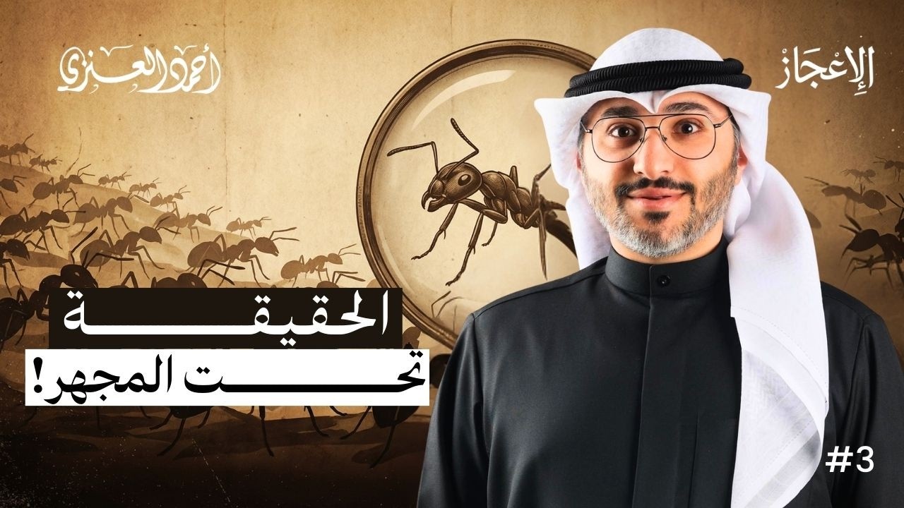 الدقة التي عجز عنها علماء الحشرات وأعلنها القرآن منذ قرون | النمل | الحلقة الثالثة | أحمد العنزي