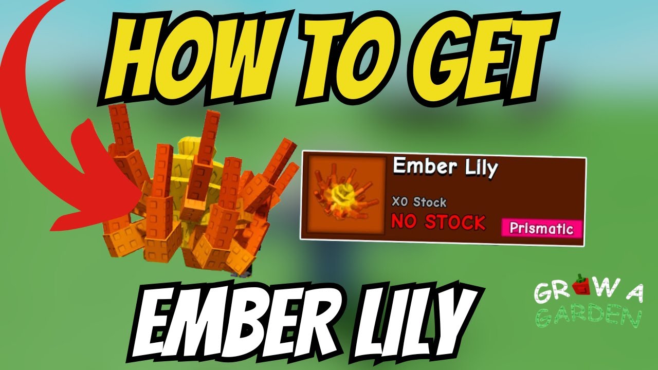 How To GET EMBER LILY & SHOWCASE In Grow A Garden! [NEW UPDATE] - YouTube